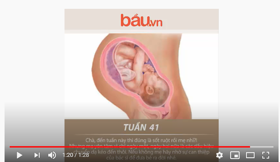 Bau.vn - Cận cảnh sự phát triển của thai nhi 3 tháng cuối