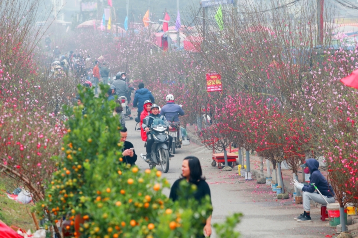 Đề xuất 2 phương án nghỉ Tết Nguyên Đán Tân Sửu 2021 - Thủ tướng Chính phủ chọn phương án 1