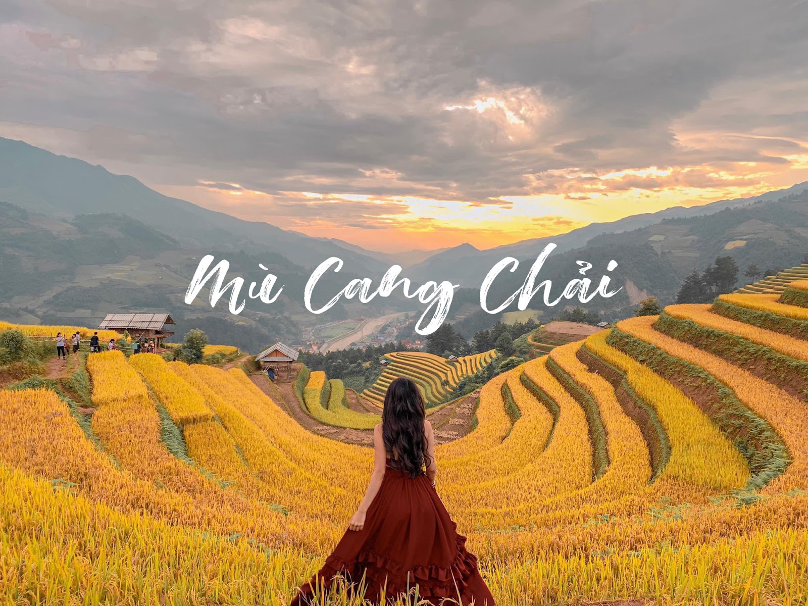 Mù Cang Chải mùa lúa chín - 