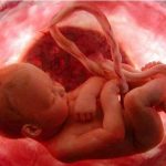 Khám phá những điều thai nhi học được ngay từ khi trong bụng mẹ
