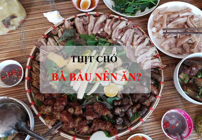 Bà bầu ăn thịt chó được không là thắc mắc của rất nhiều mẹ