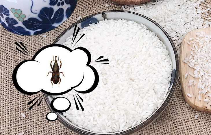 Bảo quản gạo dùng quanh năm không lo mối mọt, ẩm mốc với 4 mẹo này!
