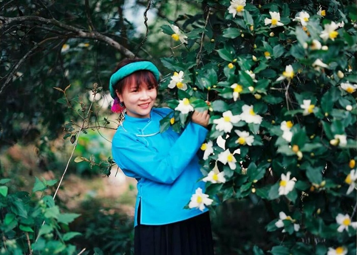 Mơ màng mùa hoa Sở nở trắng vùng biên giới Quảng Ninh