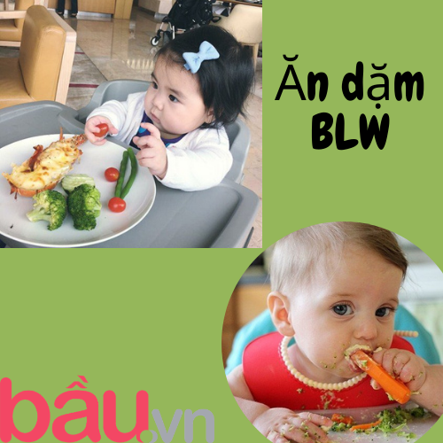 Ăn dặm BLW: Bé tự quyết, mẹ nhàn tênh