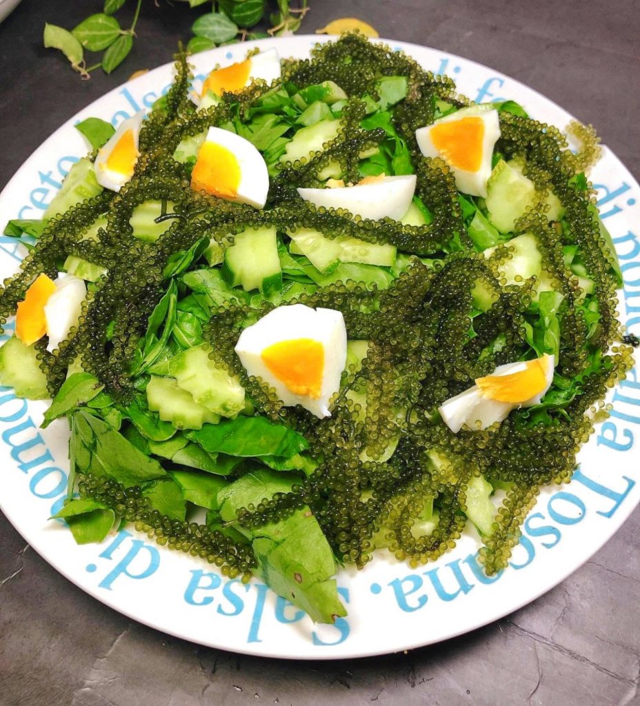 Salad rong nho hình 3