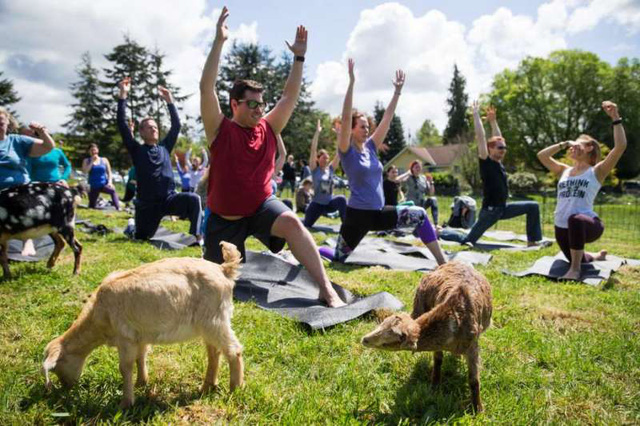 yoga de