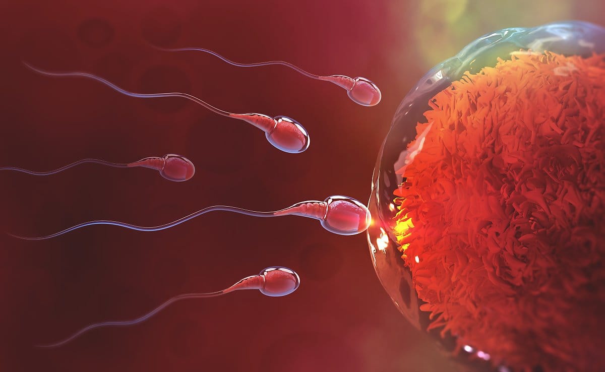 8 dấu hiệu thai bám vào tử cung dễ nhận thấy mà phụ nữ nên biết