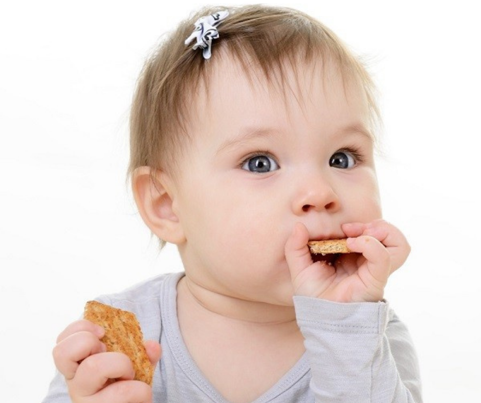 Top 6 bánh ăn dặm tốt cho sức khỏe của trẻ, được các mẹ tin dùng nhất hiện nay