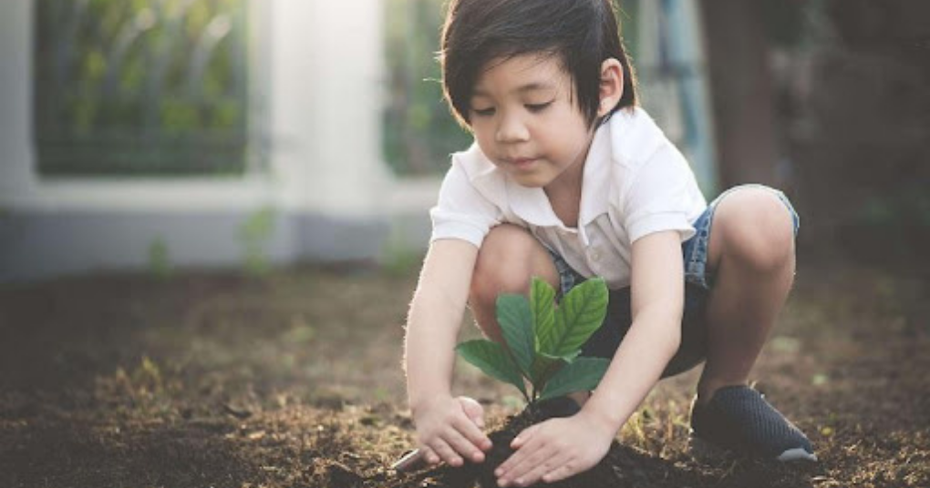 4 cách giúp trẻ nuôi dưỡng tình yêu thiên nhiên