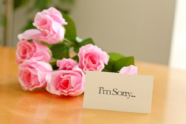 Bất ngờ với ý nghĩa của lời xin lỗi tượng trưng trong 7 loài hoa