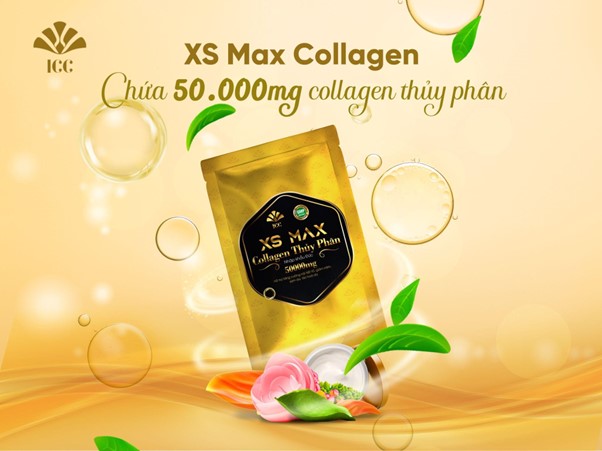 xs max collagen