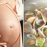 Mẹ bầu ăn ngao có ảnh hưởng đến sự phát triển của thai nhi không?
