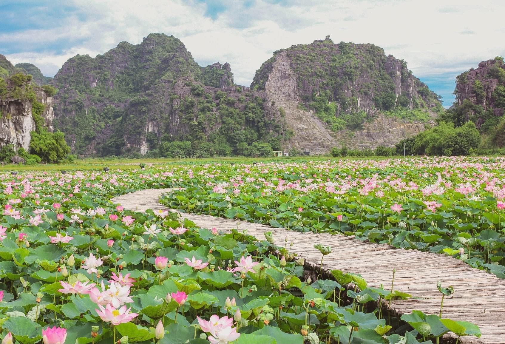 du lich ninh binh thang 6 