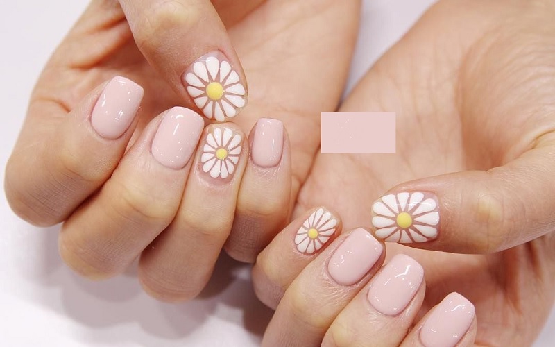 Top 12 mẫu Nail hoa cúc xu hướng hot trend nghệ thuật