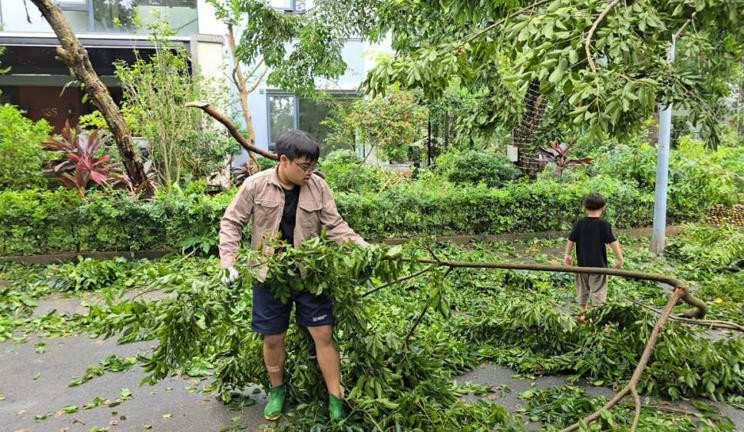 NSND Xuân Bắc và 2 con trai dọn cây đổ trên phố sau bão Yagi