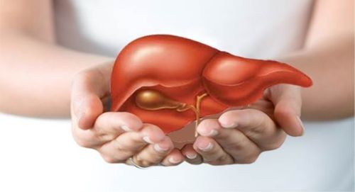 Muốn gan khỏe mạnh đừng bỏ qua những loại đồ uống sau