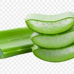 Tuyệt chiêu làm đẹp với lô hội mà ai cũng nên biết