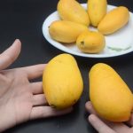 Chọn xoài ngon chỉ trong vài giây: nhớ ngay 5 mẹo này