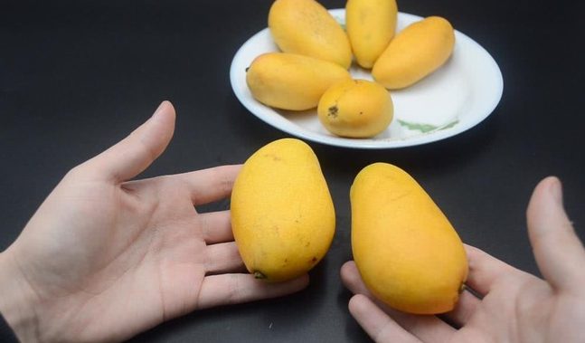 Chọn xoài ngon chỉ trong vài giây: nhớ ngay 5 mẹo này