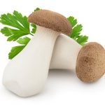 Nấm đùi gà – món chay cao cấp giúp bạn sống khỏe, trẻ và nhẹ dáng mỗi ngày