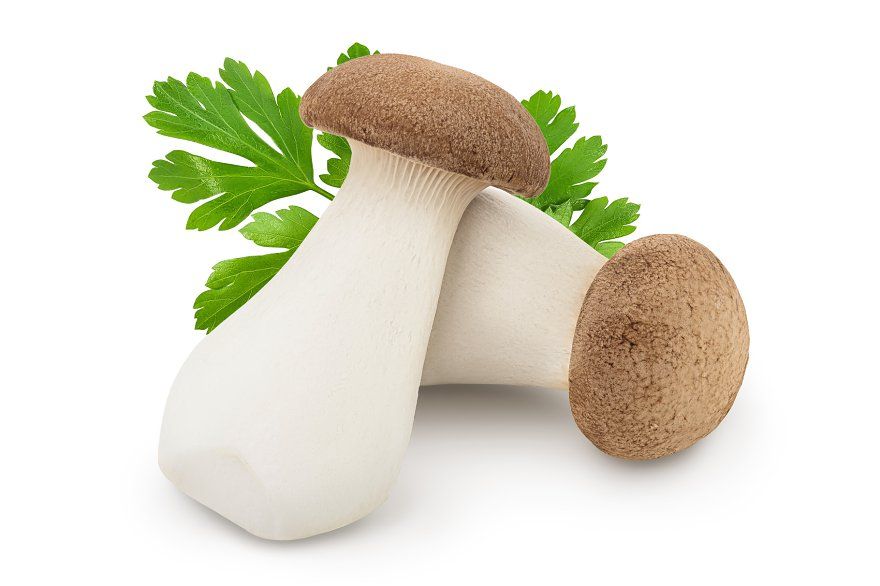 Nấm đùi gà – món chay cao cấp giúp bạn sống khỏe, trẻ và nhẹ dáng mỗi ngày