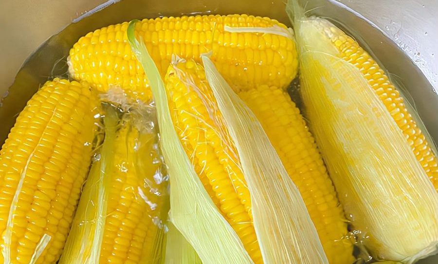 Thêm muối khi luộc ngô – mẹo nhỏ tạo nên bắp ngô dẻo ngọt hoàn hảo