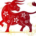 Dự đoán tuổi Sửu năm Bính Ngọ: Đào hoa vượng nhưng công việc lắm trở ngại