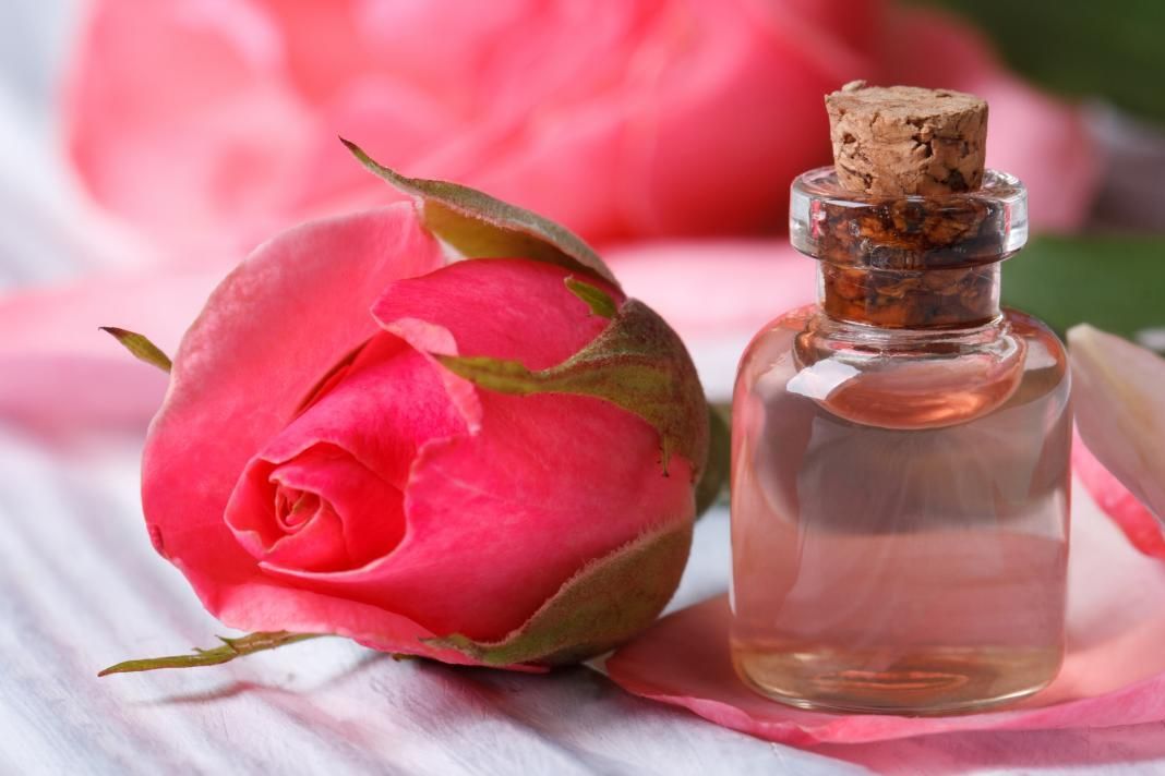 Phân biệt tinh dầu hoa hồng nguyên chất với hương liệu tổng hợp