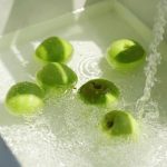 Không cần hóa chất: 5 mẹo giúp nhà vệ sinh luôn thơm tho