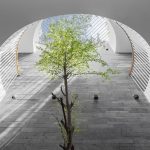 Trồng cây gì dưới giếng trời? Gợi ý những loại thân gỗ dễ sống, ít tốn công chăm