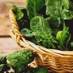 6 lý do khiến cải bó xôi trở thành “chân ái” của mẹ bầu