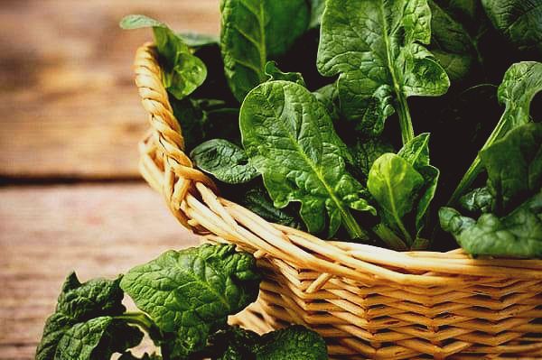 6 lý do khiến cải bó xôi trở thành “chân ái” của mẹ bầu