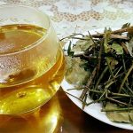 Thói quen uống nước lá vối mỗi ngày có thật sự tốt?